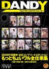 DANDY8NRv[gGfBV Ƃ傢SdW